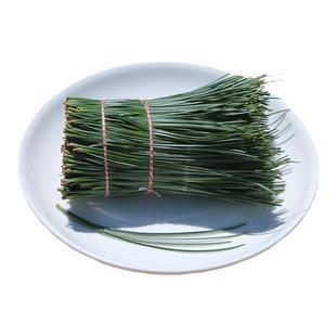 长白山野生松针茶新鲜松针叶红松针五针松针马尾松针酵素500g包邮