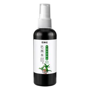 水培巴西木专用营养液免稀释巴旦木专用肥料养花卉绿植植物通用型
