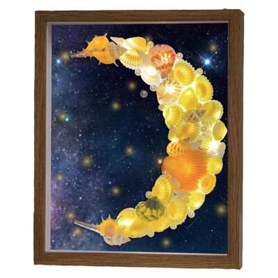 相框贝壳小夜灯海螺手工diy
