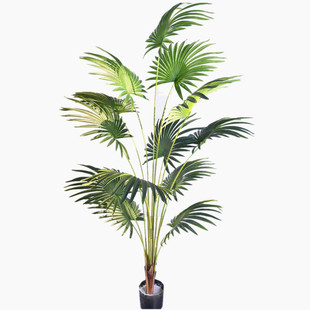 仿真植物人造棕扇葵树假棕竹观音竹棕榈竹装饰落地花园布置摄影