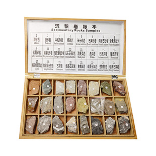 地质队工程师定制沉积岩标本72种变质火成岩浆岩石层教学科研