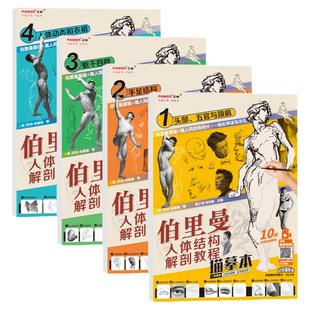 伯里曼人体结构解剖教程描摹本 四本全集 人体速写基础 分解练习 五官手足躯干动态衣褶 速写人物绘画培训教材教学 素描速写临摹本