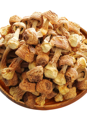 青川山珍青川姬松茸200g