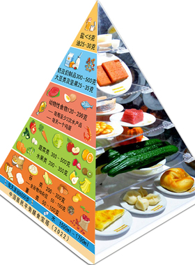 2026新版中国居民膳食宝塔