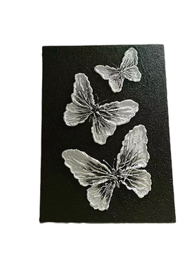 治愈系diy材料丙烯蝴蝶装饰画