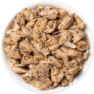 雄蚕蛾中药材纯公蚕俄蚕娥晚蚕娥未交配雄天蛾新货男性新货雄蚕蛾