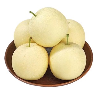正宗河北皇冠梨脆甜多汁果园直采大果新鲜水果整箱5斤包邮雪梨