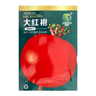 大红袍萝卜种子红皮萝卜籽白心水果型圆萝卜籽春夏秋农家蔬菜种孑