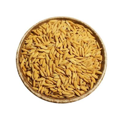 稻谷农家带壳大米谷饲鸟食饲料