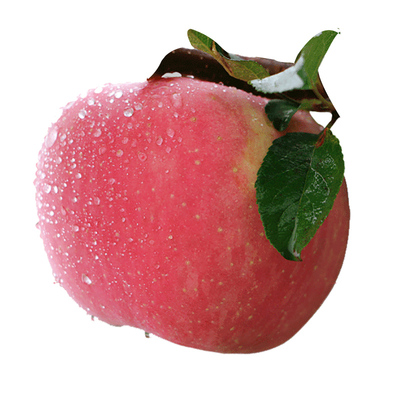 甘肃静宁甜脆红富士苹果顺丰包邮