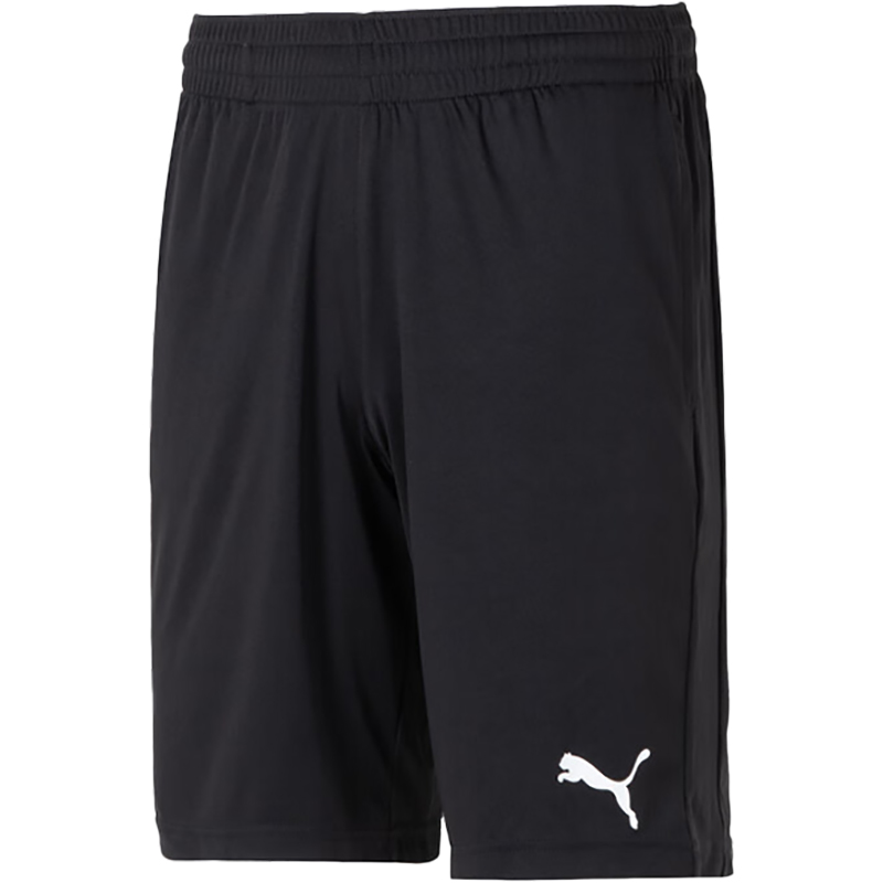 Puma/彪马官方正品2024夏季新款男士运动训练宽松短裤588864-01