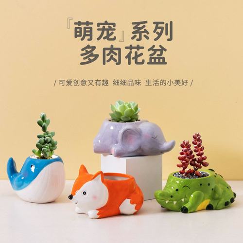 可爱卡通多肉花盆少女家用陶瓷趣萌办公桌肉肉动物专用玄关摆件