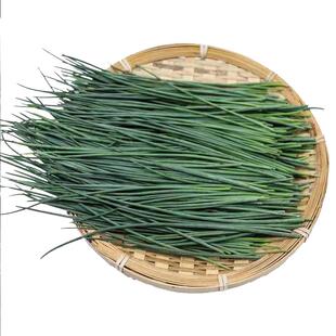 甘肃民勤新鲜沙葱产地现发香葱特产沙漠小葱蔬菜下饭菜净重包邮