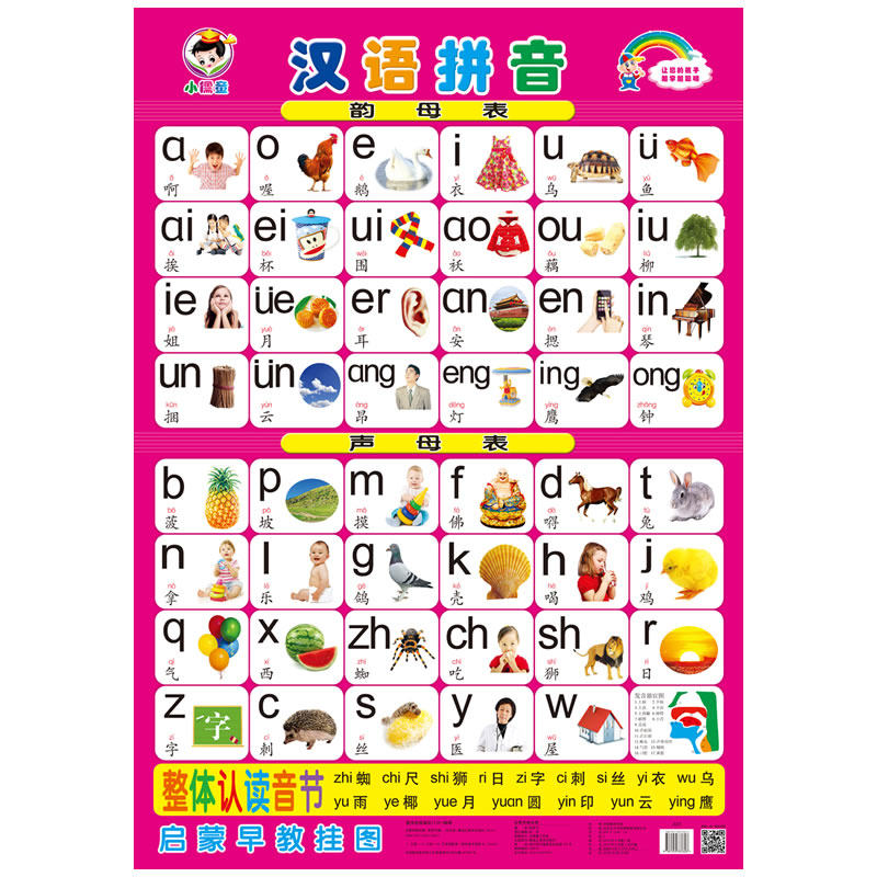 无声神器宝宝学汉语拼音字母表