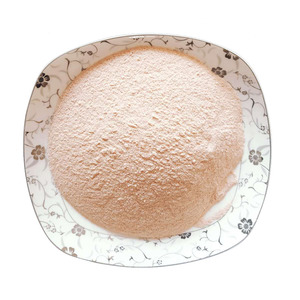 [真味园]正品薯条盐 炸年糕调料肯德基盐调味盐 鸡柳鸡排撒粉盐粉