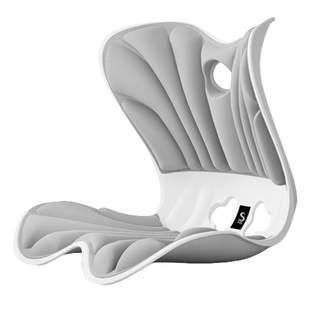 思菲其护腰坐垫久坐神器办公室椅子腰部支撑靠垫人体工学坐姿腰靠