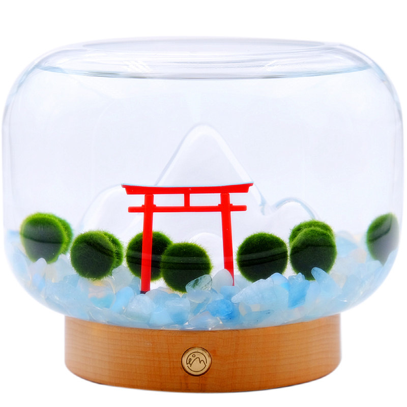 日式山居marimo海藻球微景观桌面