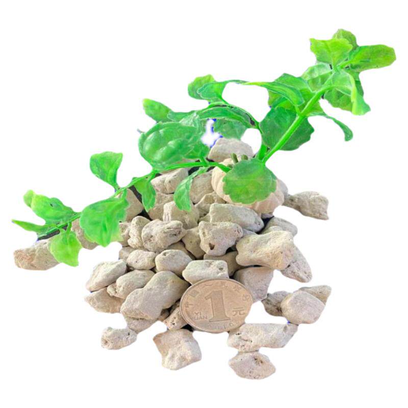 浮石轻石颗粒兰花多肉种植土兰花植料垫底介质园艺用品包邮