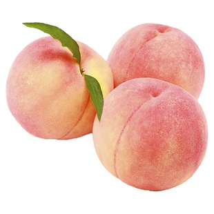 四川水蜜桃树果苗冬桃黄桃脆桃庭院树苗南方种植桃子苗水果树大全