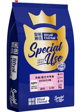 皇恒赛级格力比特狗狗冻干幼犬