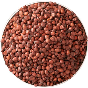 生酸枣仁中药材正品枣仁酸枣仁枣仁粉睡眠野生酸枣仁百合茯苓茶