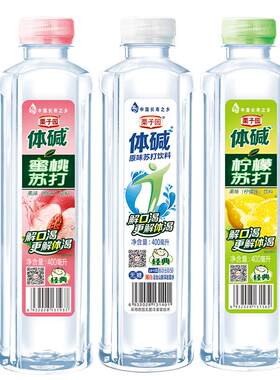 栗子园体碱苏打水400ML*24厂家发