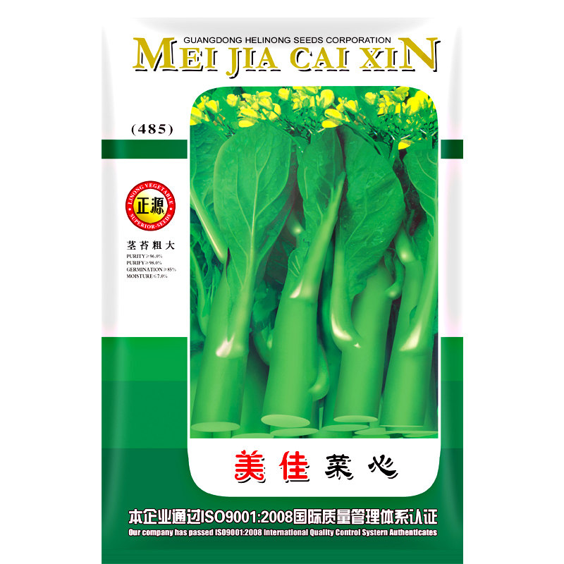 农家广东南方四季种子