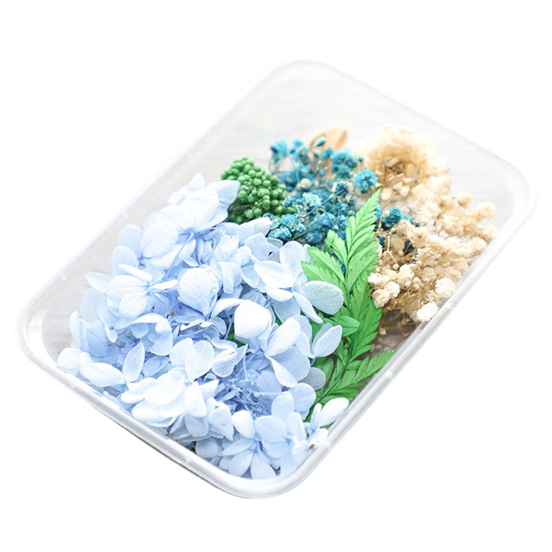 蔓玥DIY盒装天然干花真花永生花艺团扇相框香薰蜡烛蜡片手工材料