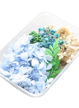 盒装天然干花真花永生花手工材料