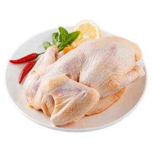 年货节四海风物跑山土公鸡散养走地鸡老母鸡黑凤鸡新鲜宰杀整只