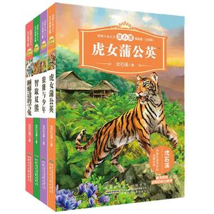 动物小说大王沈石溪精品集 注音版全套4册 狼獾与少年 虎女蒲公英智取双熊 6-12岁 文学动物小说故事 三四五六年级小学生课外书