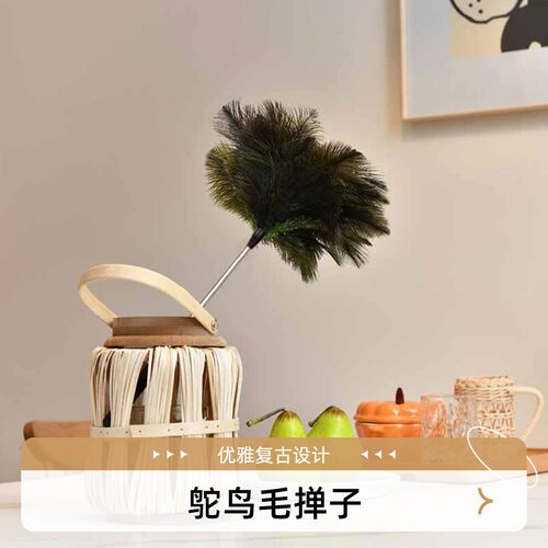 可伸缩鸵鸟毛掸子家用静电除尘掸子鸵鸟毛禅子扫灰柔软除尘刷