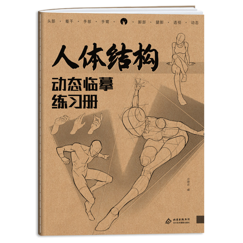 人体结构动态临摹练习册新手素描绘画入门描红本人体结构线稿描摹