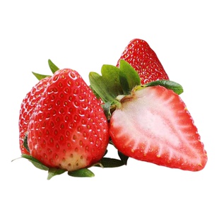 现摘大凉山冬草莓新鲜奶油草莓商用红颜九九应季孕妇水果顺丰包邮