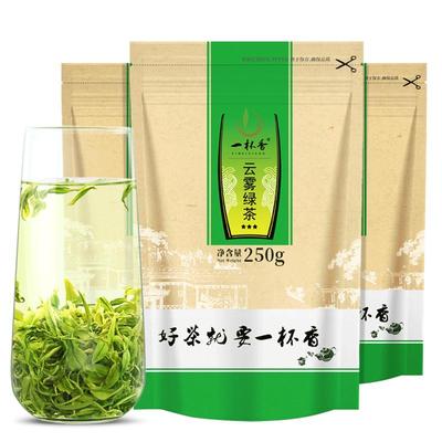 2024新茶一杯香高山云雾绿茶750g