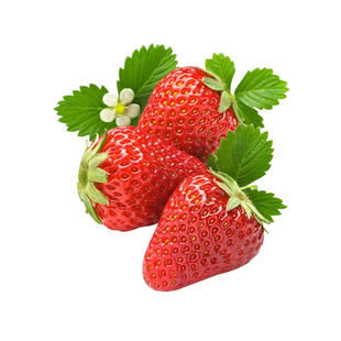 草莓苗秧四季结果盆栽奶油草莓隋珠红颜优质脱毒苗特大号果苗好养