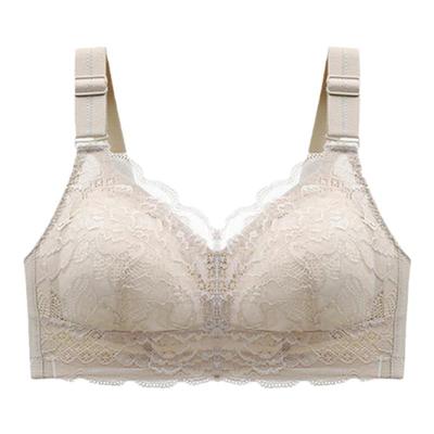 古今品牌文胸专柜正品内衣