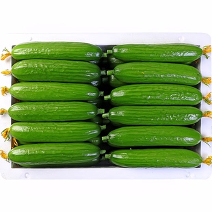 生吃水果黄瓜新鲜小黄瓜无刺青瓜玉女黄瓜白玉旱黄瓜孕妇现摘蔬果