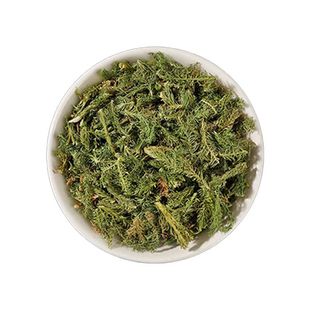 云南野生中药材伸筋草 筋骨草 舒筋草石松狮子 500g包