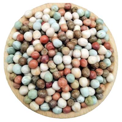 豌豆四种豆子信鸽幼鸽成鸽粮