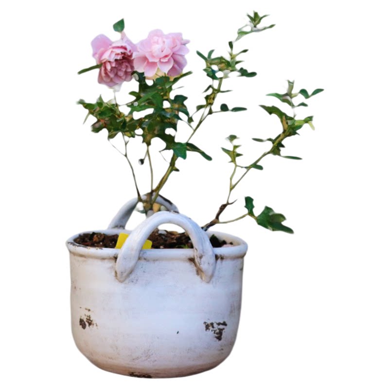 红陶手拉粗陶提篮花盆月季绣球球花盆