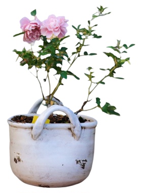 红陶手拉粗陶提篮花盆月季绣球球根花盆
