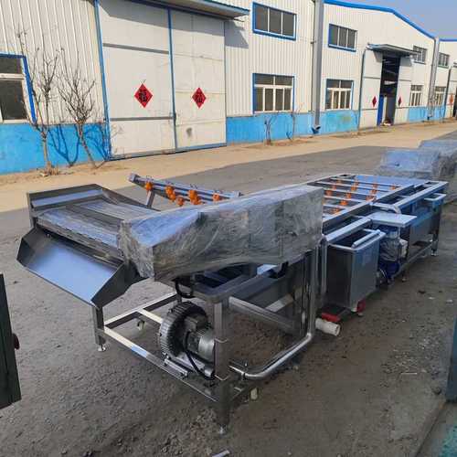 商用气泡清洗机辣椒清洗机器油菜白菜清洗设备预制菜净菜加工设备