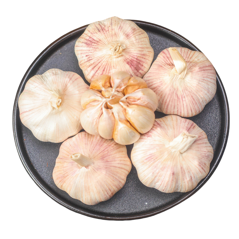 山东紫皮大蒜头新鲜干蒜多瓣蒜