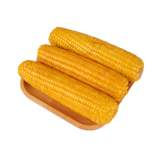 2025年新玉米黄糯玉米大棒真空新鲜加热即食粘甜东北黑糯玉米整箱