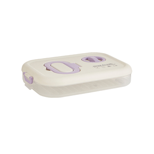 饺子收纳盒冰箱专用保鲜冷冻密封保鲜盒水饺抄手速冻厨房整理神器