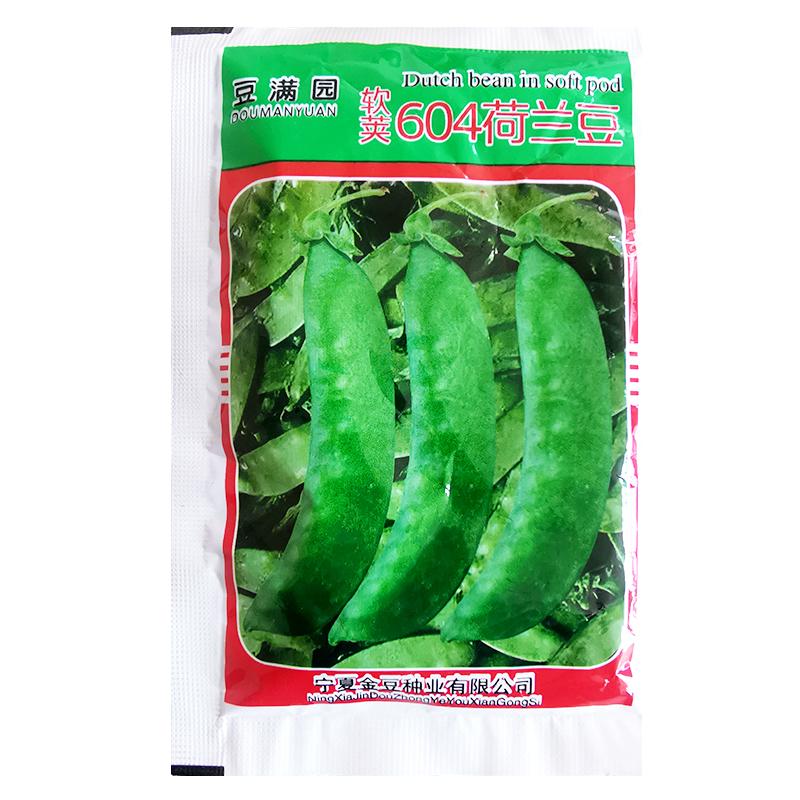 红花软荚604荷兰豆种子豌豆高产菜豆角阳台盆栽庭院四季蔬菜种籽