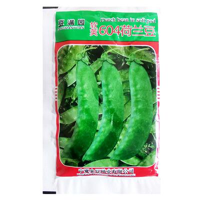 红花软荚荷兰豆豌豆种籽蔬菜种子