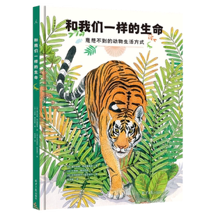 和我们一样的生命 意想不到的动物生活方式 维尔吉妮 阿拉德基迪 著 23个动词探索动物奇妙的一生 儿童绘本 理想国图书旗舰店