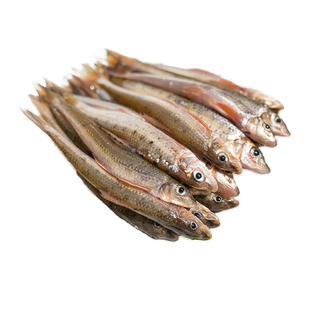 【冷链加冰发货】淡水溪流新鲜小河鱼船钉子鱼棍子鱼沙沟鱼小杂鱼